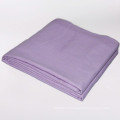 AZO Free Top Quality New Style Silk Material TV Blankets Plain Winter Blankets With Brushed